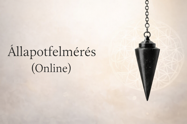 Állapotfelmérés ( online )