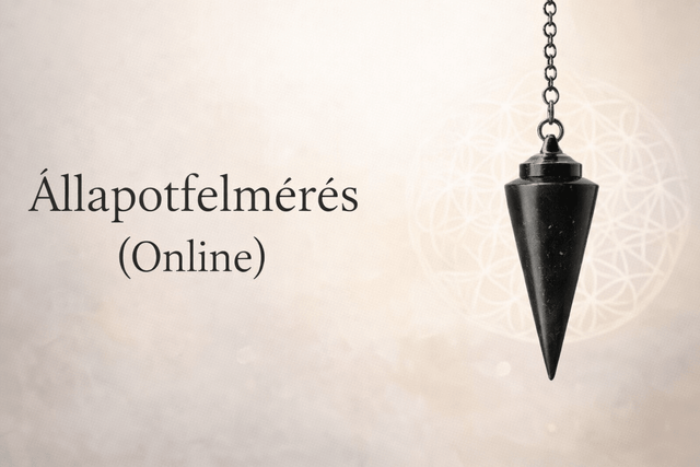 Állapotfelmérés ( online )
